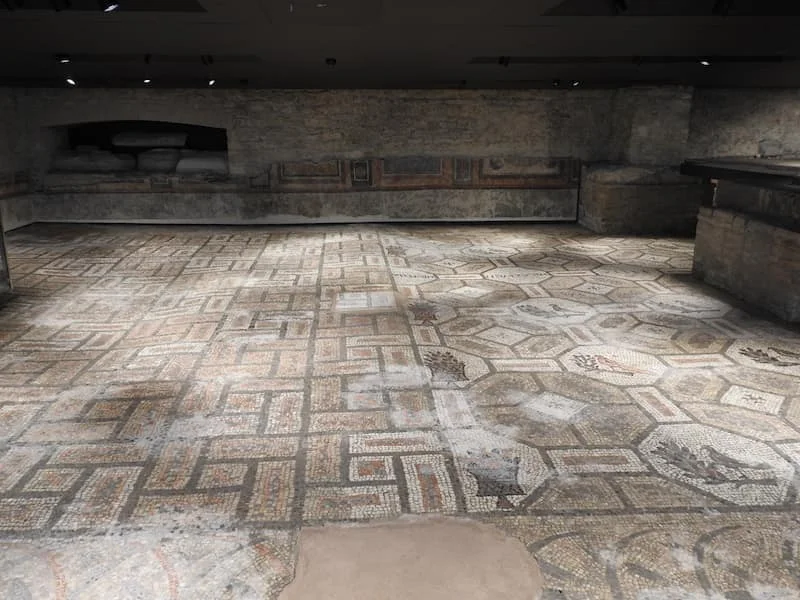 I mosaici della Basilica di Aquileia: i 760 metri quadrati del vescovo Teodoro, da Giona al gallo e la tartaruga - Arte & Cultura in Friuli Venezia Giulia