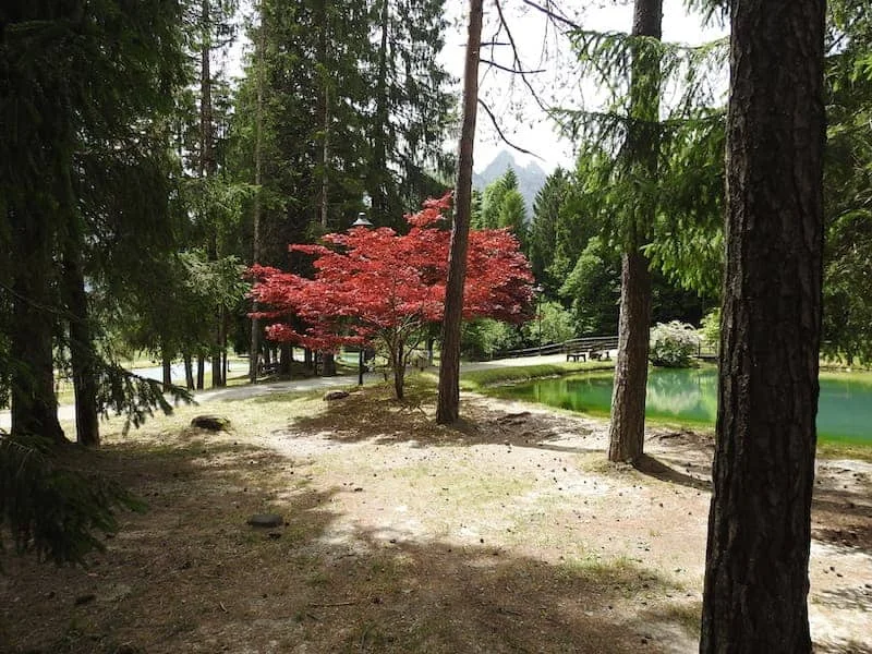 Escursioni estive a Forni di Sopra: il Rifugio Giaf, la Val di Suola, il Truoi dai Sclops e l'Alta Via di Forni - Itinerari in Friuli Venezia Giulia