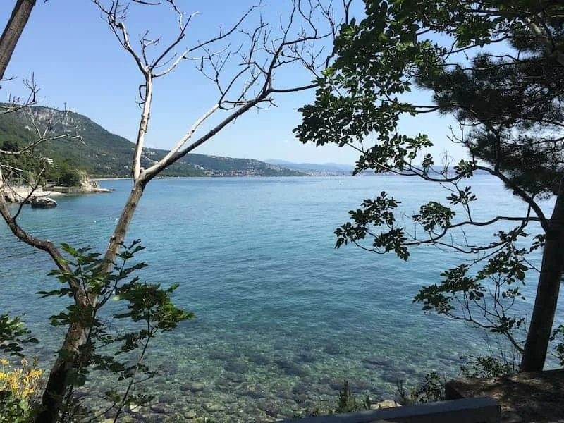La Riserva marina di Miramare: il primo parco marino d'Italia ai piedi del castello, fra la bavosa pavone e la Pinna nobilis - Mare, Laguna & Costa in Friuli Venezia Giulia