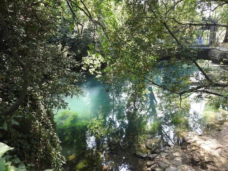 Le Bocche del Timavo a San Giovanni di Duino: il fiume che corre 40 km sotto il Carso, le nove bocche di Virgilio e San Giovanni in Tuba sul tempio romano - Natura & Wildlife in Friuli Venezia Giulia