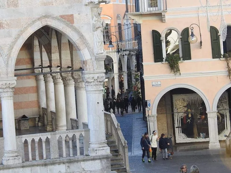 Il Centro Colibrì di Margherita Hack a Martignacco: la colonia sfrattata da Miramare, scortata dai carabinieri fino al piano interrato del Città Fiera - Natura & Wildlife in Friuli Venezia Giulia