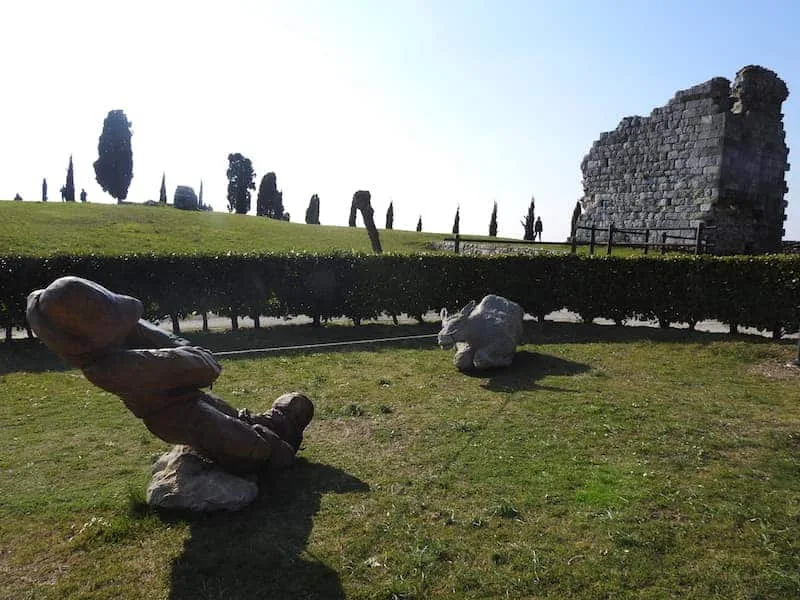 L'Oasi dei Quadris di Fagagna: le pozze quadrate della torba del conte Asquini, le cicogne bianche tornate sui campanili e l'ibis eremita dal becco da maschera veneziana - Natura & Wildlife in Friuli Venezia Giulia