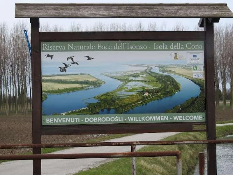 Riserva naturale della Foce dell'Isonzo: l'Isola della Cona riallagata, i cavalli Camargue nei pascoli e gli uccelli del chiurlo maggiore - Natura & Wildlife in Friuli Venezia Giulia